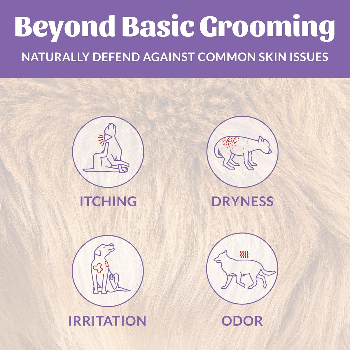 SKOUT'S HONOR Pet Probiotic Deodorizer Spray- Hydrating Daily-Use with Avocado Oil & Omega-3s, Microbiome Friendly Certified, Paraben & Sulfate-Free, 97% Natural, 8oz, Lavender, 2-Pack