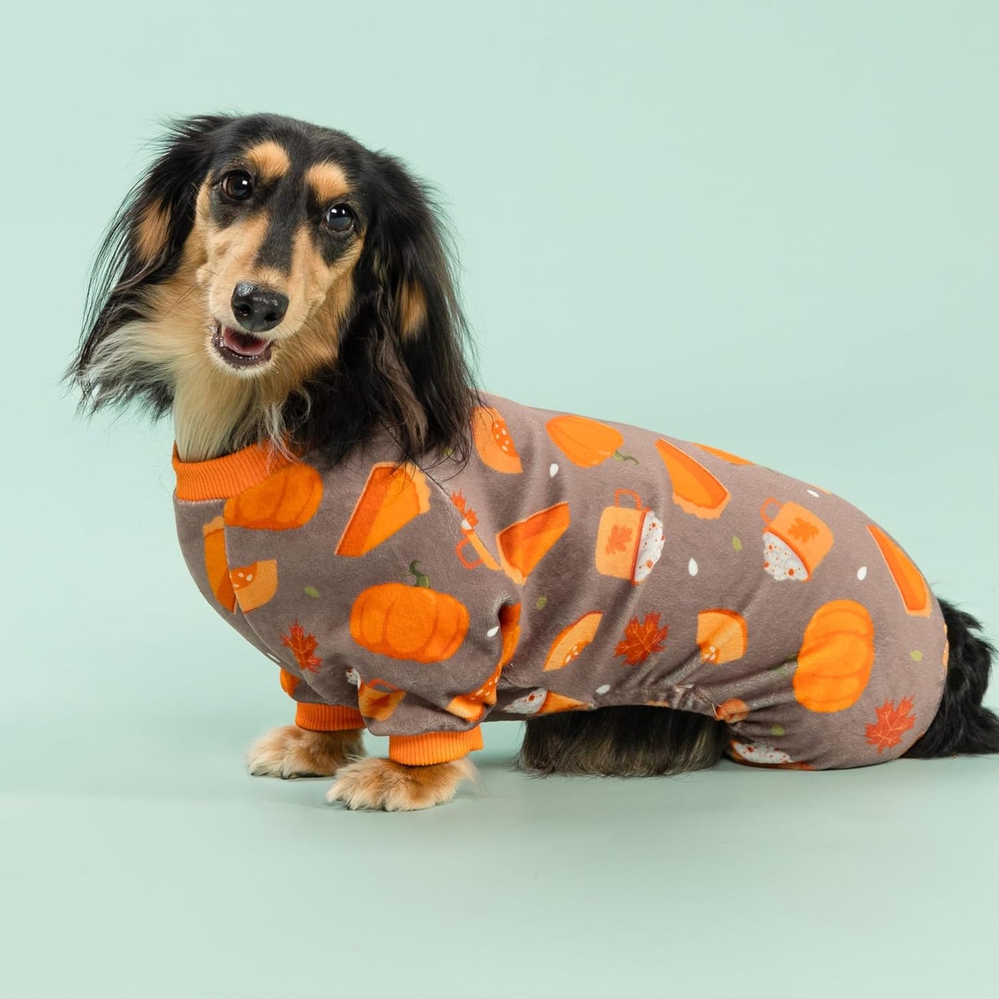 Fitwarm Pumpkin Dog Pajamas, Thanksgiving Outfit for Small Dogs Boy Girl, Pet Onesie, Brown, Orange, XS