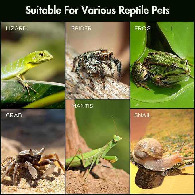 Pre-Assembled Jumping Spider Enclosure, All-Side Ventilation | 12"x7"x7" Escape-Proof Spider Terrarium Kit with Magnetic Door for Tarantula, Mantis, Snail, Tweezer & Temp Sticker Included
