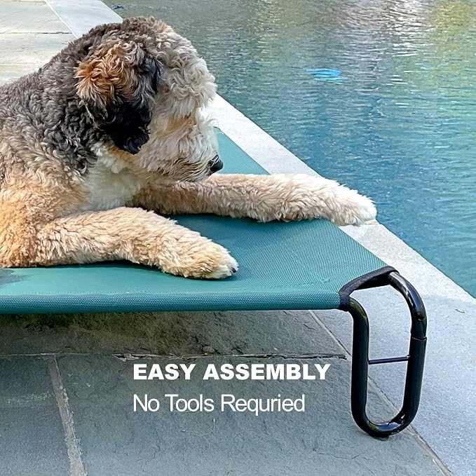 Elevated Dog Bed, 35 x 28 x 8 inches (Small, Green)