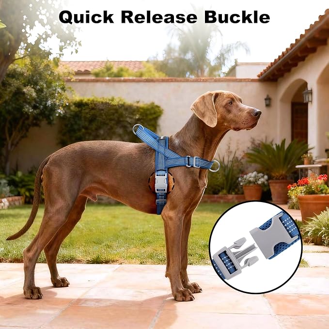 No Pull Dog Harness with Handle, Adjustable Soft Mesh Padded Vest | Reflective Walking Harness with Front Clip for Small Medium Large Dogs, Quick Fit No Escape for Training, Blue, XS