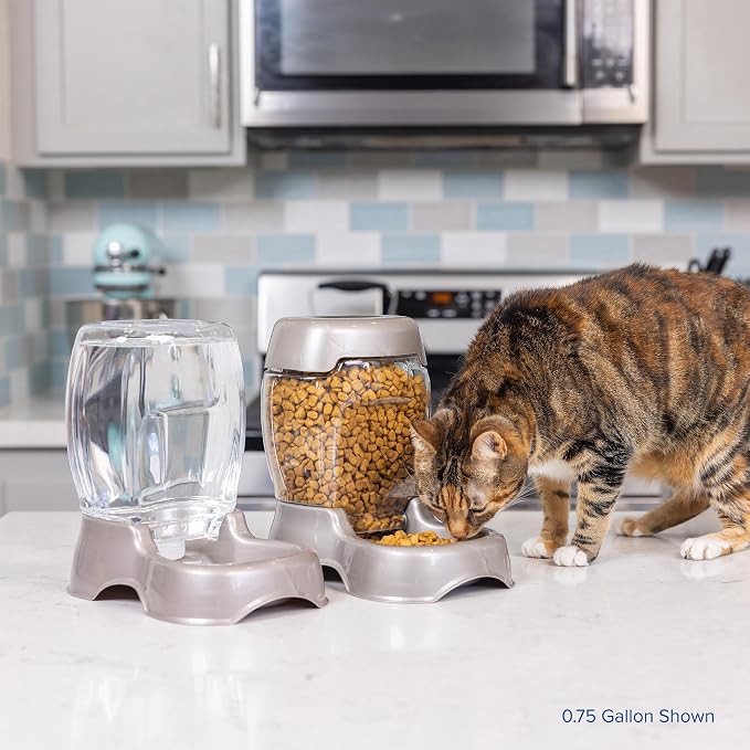 Petmate Pet Cafe Cat and Dog Water Dispenser Extra Small Water Bowl for Kittens and Puppies, USA Made, 0.25 GAL, 7.3"H, Pearl Ash Blue