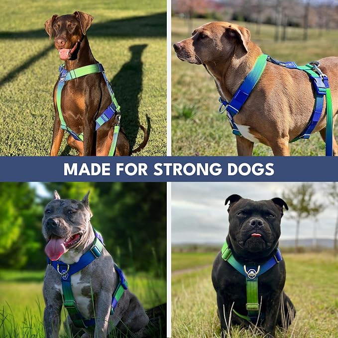 Spark Paws Comfort Control No Pull Dog Harness - Heavy Duty Front Clip | Safety Tested for Strong Breeds, w/ Metal Buckle & Top Handle – Padded Y-Straps Redirect Pulling. Solo or Matching Leash Set
