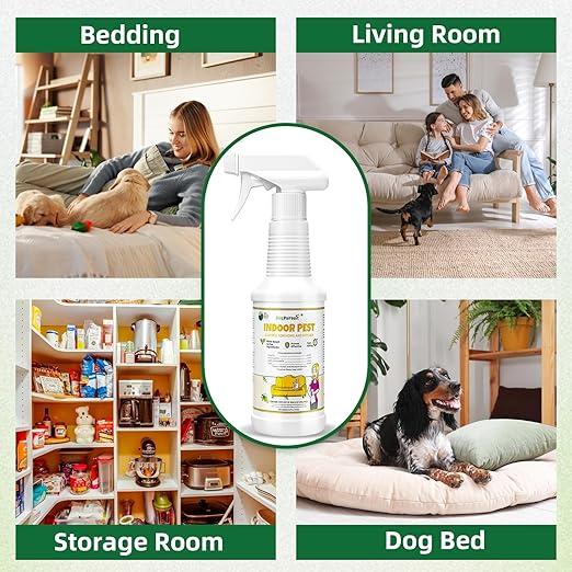 Indoor Pest Control Spray 16oz for Home and Kitchen –Bug Killer & Insect Repellent, Kills Carpet Beetles, Ants, Spiders, Beg Bugs, Roaches, Flea & Tick- Non Staining-Child and Pet Safe