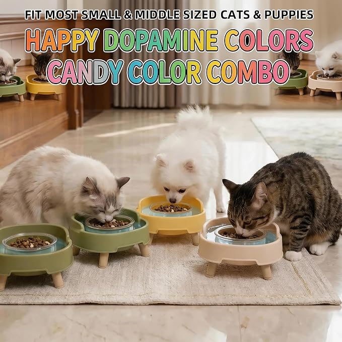 Ant Not Cross Elevated Cat Bowls Mess Proof-2 Food Grade Glass Bowls & 1 Lids- No Spill Cat Food and Water Feeding Station for Cats&Puppy Indoor & Outdoor,No Whisker Fatigue Dish,Beige