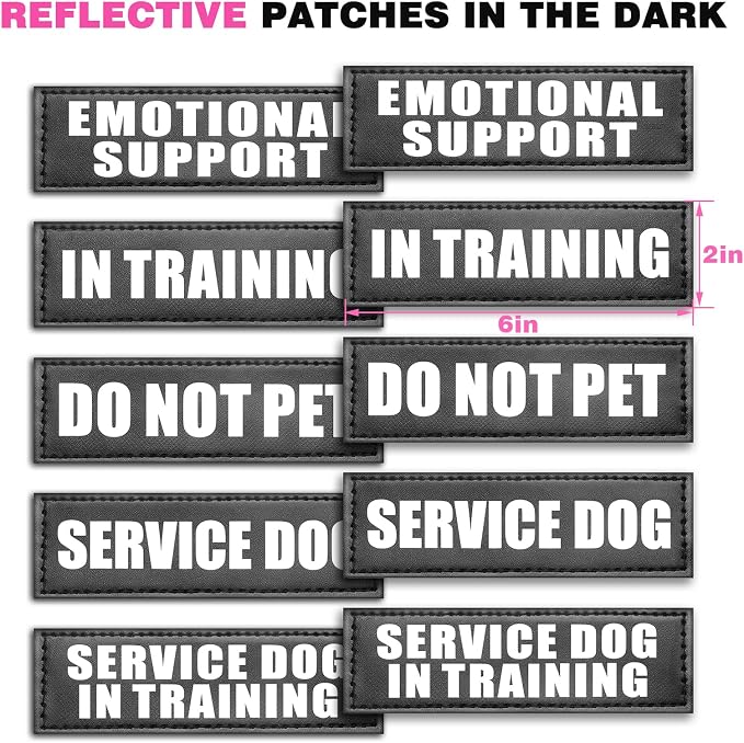 Service Dog Vest Harness for Large Dog, Tactical Working MOLLE Vest with 10 Pet Patches, No Pull Heavy Duty Harness for Training Hunting Walking