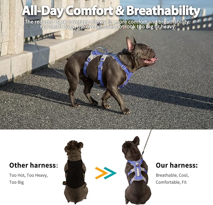 Escape Proof Dog Harness, No Pull Reflective Harness with Lift Handle, Adjustable Pet Vest with Front and Back Leash Clips for Small Medium Large Dogs Walking Hiking Training (Vista Blue,L)
