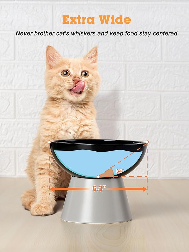 LoeJan Elevated Cat Food and Water Bowls Set, Extra Wide and Raised Ceramic Feeder, Anti-Vomit Whisker-Free Pressure Feeding Bowl for Kittens Adult Small Dogs (Black)