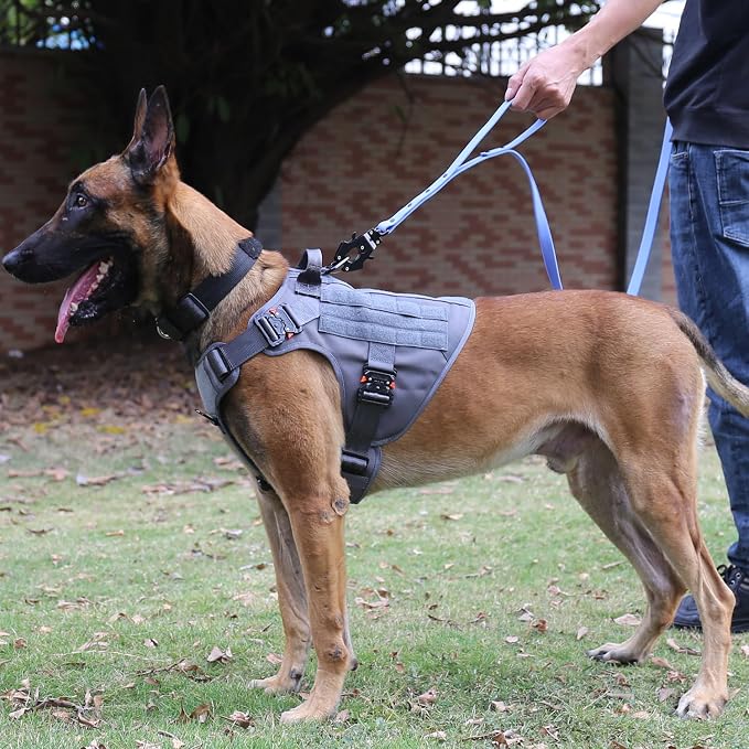 ICEFANG Tactical Dog Harness for Large Dogs,Full Metal Buckles Dog Vest | with MOLLE, Reflective,Adjustable,2 Leash Clips,Control Handle,No Pull,Soft Padded,Grey,Large