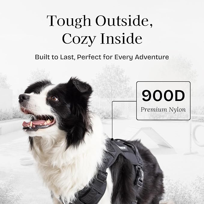 Fei & Eve Classic Dog Harness, MagEase Magnetic Buckle | 3-Point No-Pull Control, Dual Handle Support, 900D Nylon, Tactical Patch Panel, Heavy Duty, Medium, Black
