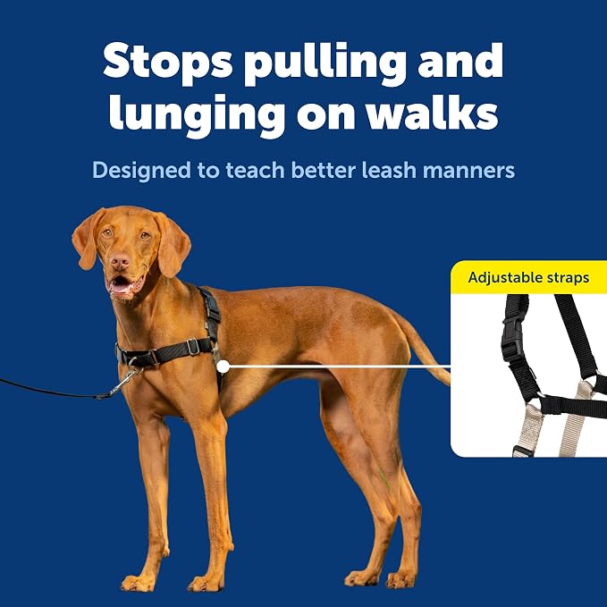 PetSafe Easy Walk Harness, No Pull Dog Harness, Black, Medium | Patented Martingale Loop Gives Gradual Shoulder Pressure to Stop Pulling, Front-Chest Leash Clip Prevents Gagging
