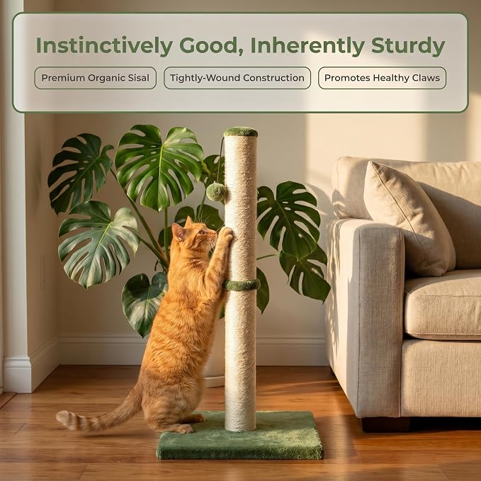 Dimaka Tall Cat Scratching Post, Claw Scratcher with Sisal Rope and Covered with Soft Smooth Plush, Vertical Scratch [Full Strectch] for Standard Size Cats (Green, 29 inches for All Cats)