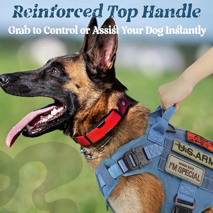 rabbitgoo Tactical Dog Harness X-Large, Heavy Duty Military No Pull Vest | Sturdy Metal Buckles, 5 Adjustments, Molle System, Powerful Pullers for Training, Hunting, Outdoor, Blue, X-Large