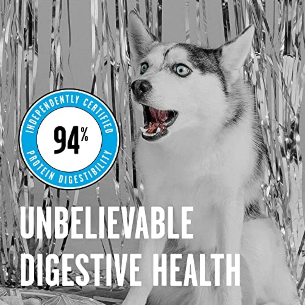 BIXBI Rawbble Freeze Dried Dog Food, Chicken & Salmon Recipe, 12 oz - 94% Meat and Organs, No Fillers - Pantry-Friendly Raw Dog Food for Meal, Treat or Food Topper - USA Made in Small Batches