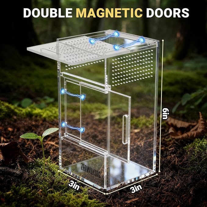 Jumping Spider Enclosure - Acrylic Terrarium Habitat for Spiders, Tarantulas, Snail, Mantis, Lizard, and Small Reptiles, Magnetic Doors (3x3x6 inch)