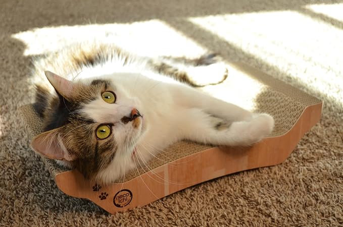 Necoichi Cardboard Cat Scratcher Couch for Indoor Cats - Cat Scratching Board, Horizontal Cat Scratch Pad Lounger with Reversible Usability and Extra Comfort for Lounge, Curved (17" Regular, Oak)