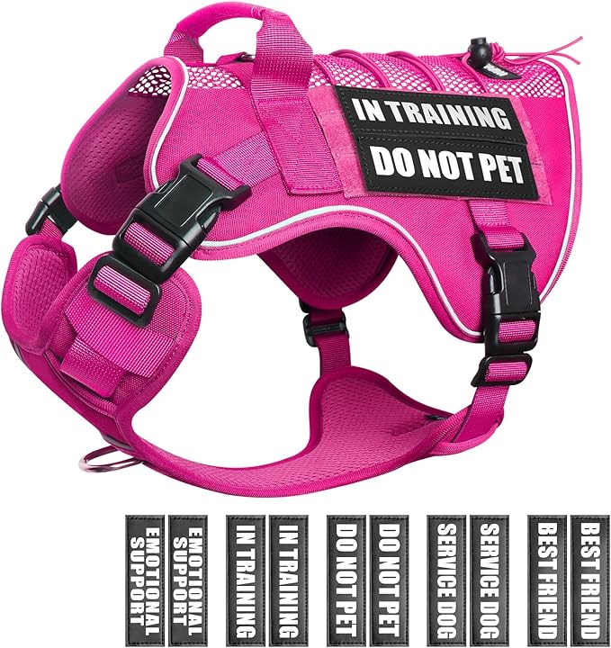 Service Dog in Training Mesh Harness with 10 Removale Pet Patches | Breathable material, adjustable straps, reflective trim, lightweight but durable, great for training, walks, and outings