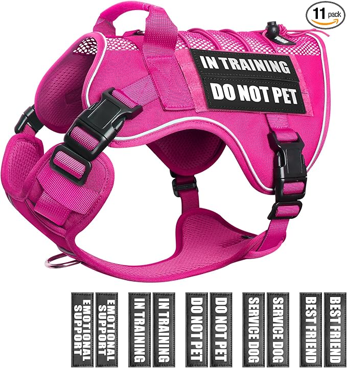 Service Dog in Training Mesh Harness with 10 Removale Pet Patches | Breathable material, adjustable straps, reflective trim, lightweight but durable, great for training, walks, and outings
