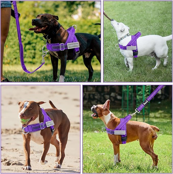 SlowTon No Pull Dog Harness with Front Clip - Heavy Duty, Soft Padded | Neck & Chest Adjustable, Tactical Pet Vest and Leash Set for Large Medium Sized Dogs, for Easy Walk & Training, Purple XL