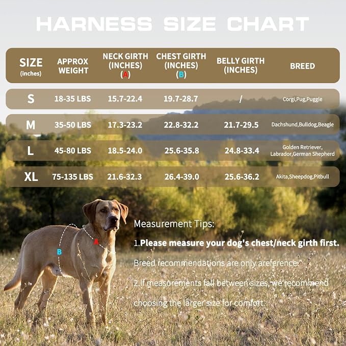 Dog Harness, Tactical No Pull for Small Sized Dog with Handle | Breathable Soft Padded, Adjustable, Reflective, Molle System, Heavy Duty, No Choke for Walking Training, Khaki Small