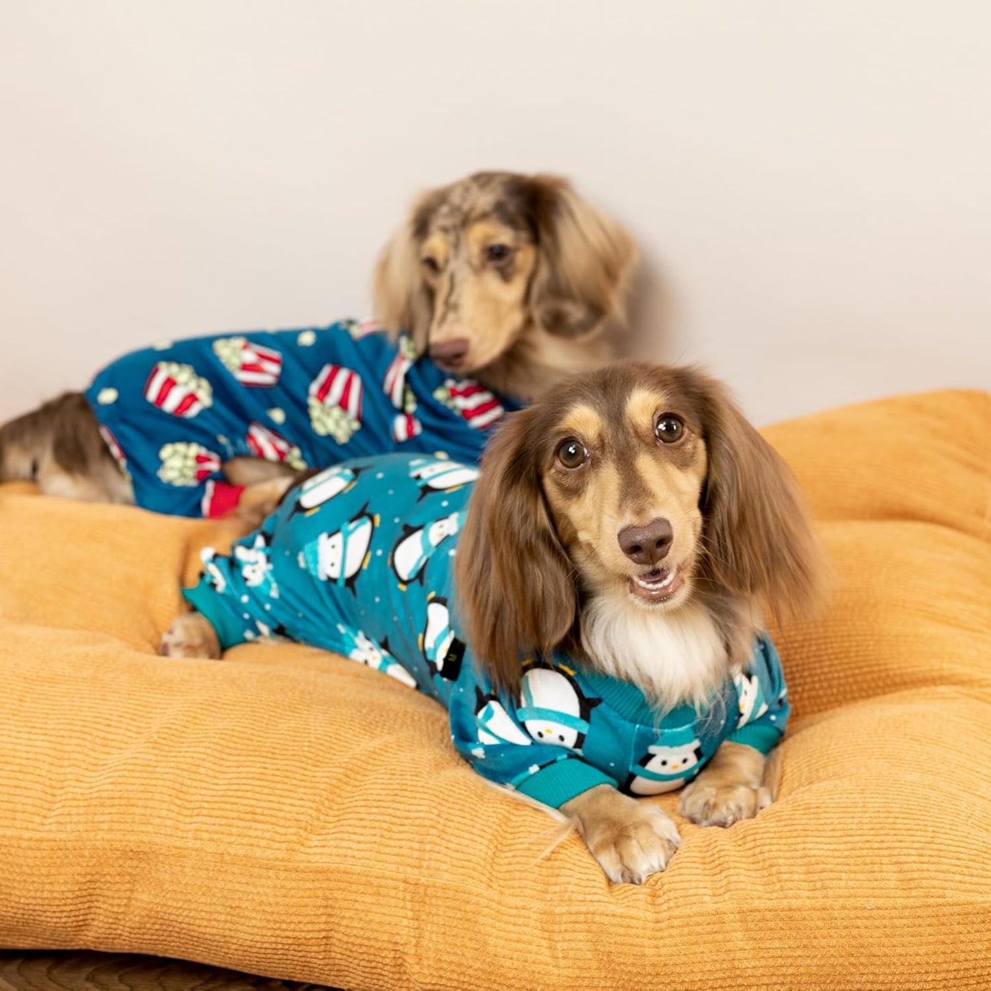 Fitwarm Cute Penguin Dog Pajamas, Dog Winter Clothes for Small Dogs Girl Boy, Cozy Dog Onesie, Soft Pet Jammies, Doggy Apparel, Teal Blue, XXL