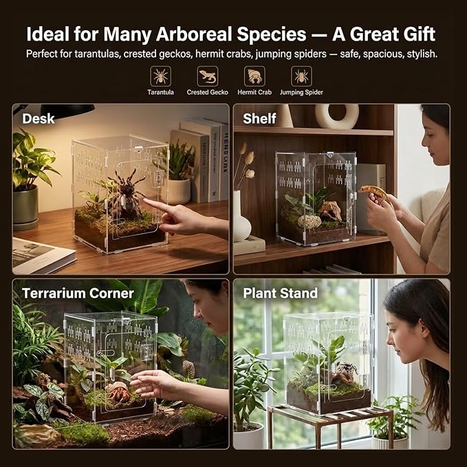 Tarantula Enclosure 8x8x12 Acrylic Terrarium: Arboreal Frog Habitat | Front Opening All-Side Ventilation Lockable Jumping Spider Enclosure for Crested Gecko Hermit Crab, Gift for Reptile Hobbyist