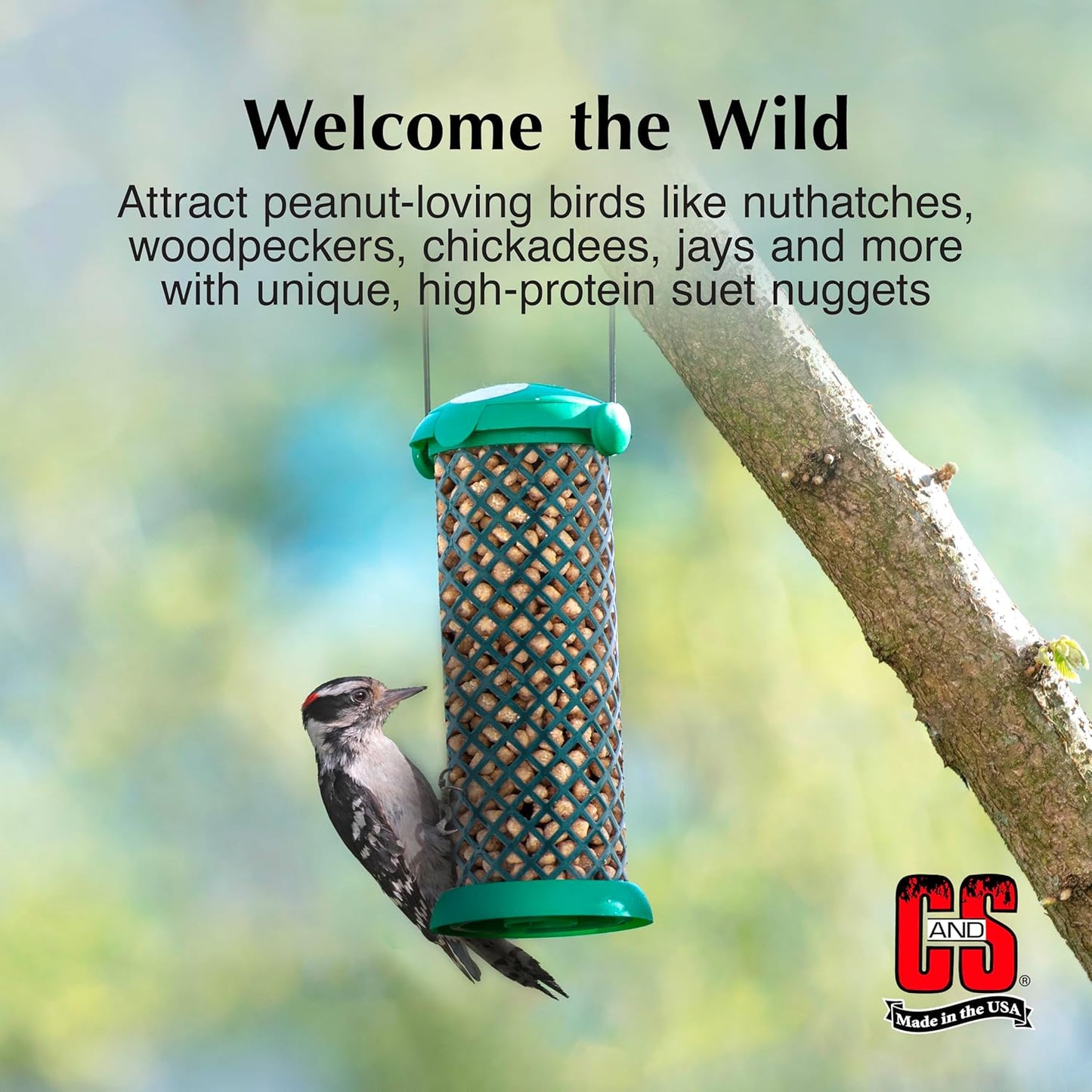 C&S Wild Bird Peanut Suet Nuggets Mega Box, 8 Pounds