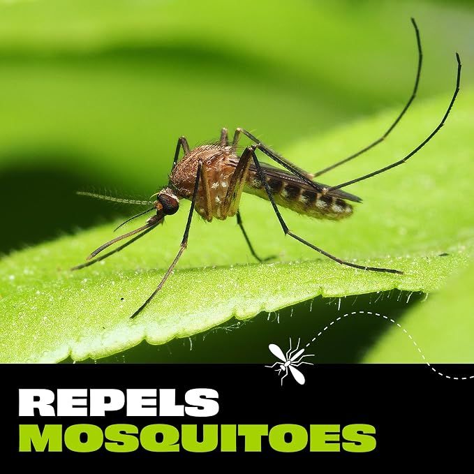STEM Mosquito and Tick Repellent Wipes with Botanical Extracts - 10 Wipes (Pack of 8)