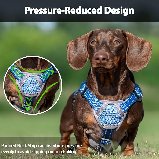 Escape Proof Dog Harness, Dachshund Harness, Reflective Dog Harness with Handle, Durable,Adjustable Vest for Small Medium Large Dogs Walking, Training, and Running Gear (Sea Blue,S)