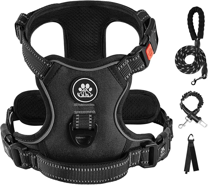 IVY&LANE No Pull Dog Harness for Small Dogs, Dog Vest Harness with Leash, Safety Belt and Storage Strap, Fully Adjustable Harness, 360° Reflective Strip, Soft Handle (Black, XS)