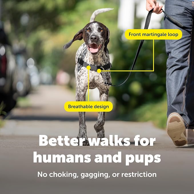 PetSafe Easy Walk Harness, No Pull Dog Harness, Fawn, Medium | Patented Martingale Loop Gives Gradual Shoulder Pressure to Stop Pulling, Front-Chest Leash Clip Prevents Gagging