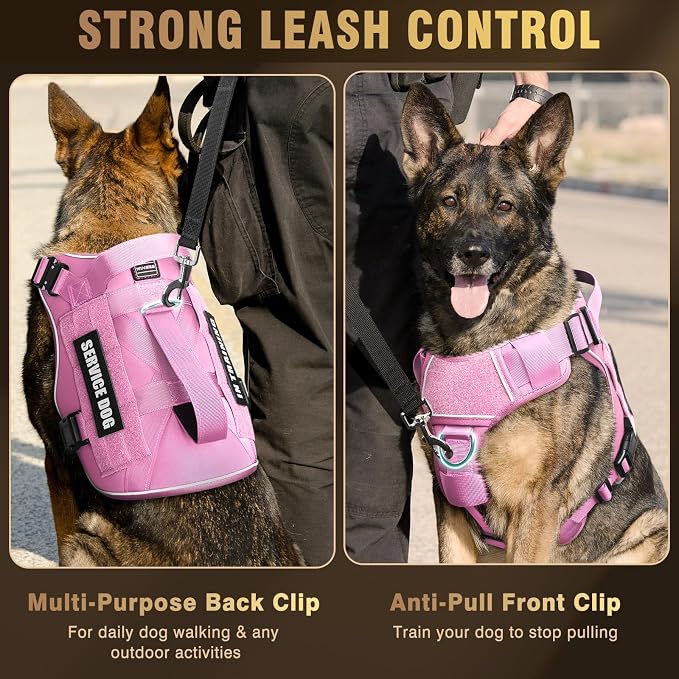 2X Metal Buckle Service Working MOLLE Dog Vest with 10 Pet Patches | Tactical Dog Harness for Large Dog, No-pull Military Working Vest for Training Hunting Walking，2x D Rings for Leash Clip