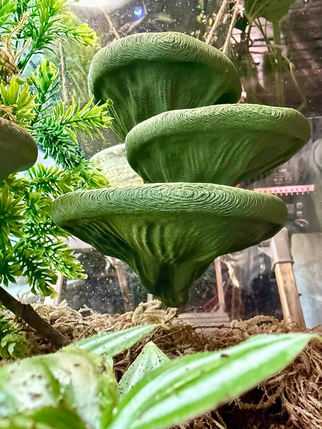 Mushroom Ledge for Terrarium – Climbing & Resting Shelf with Suction Cups (Dark Green, 6''x4.5''x5.25'')