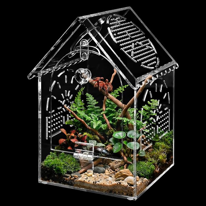 Jumping Spider House Enclosure, Seamless Acrylic Praying Mantis Habitat, 5"x5"x8.3", Medium
