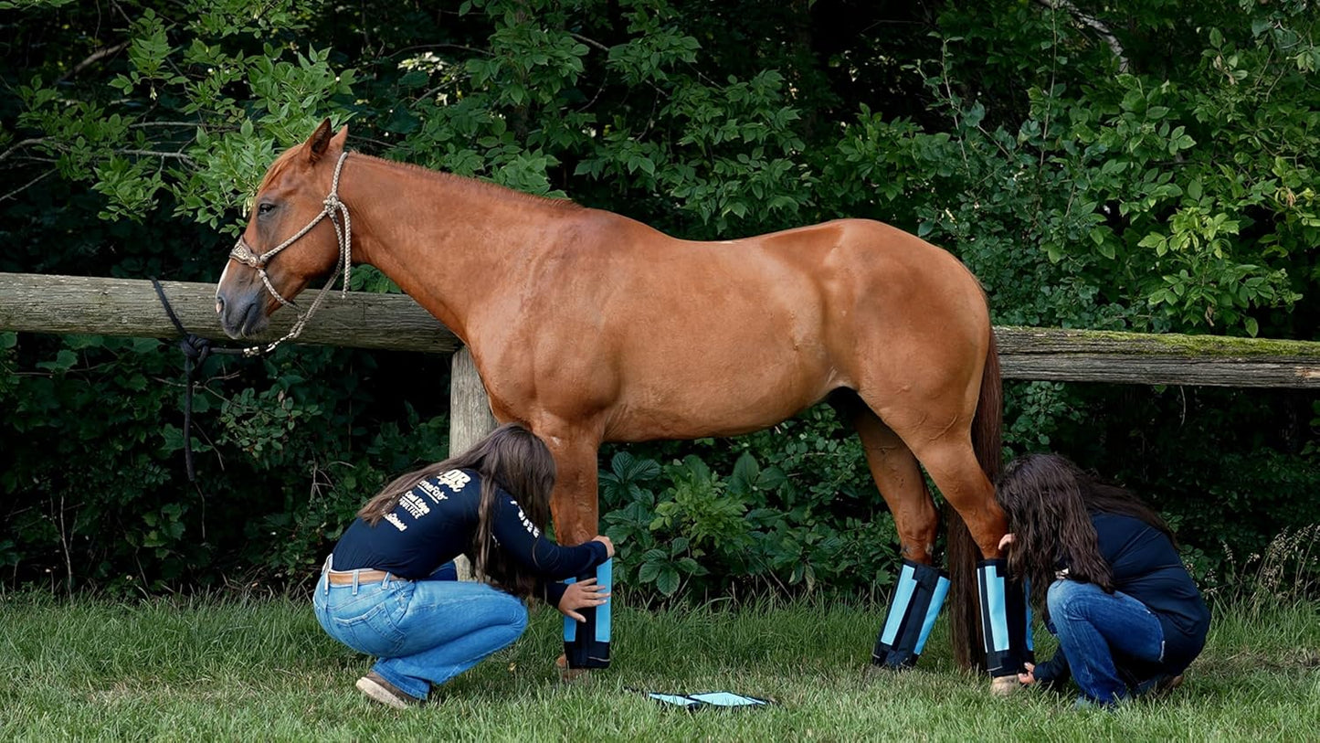 Warrior Fly Boots for Horses - Breathable Mesh Horse Boots for Fly Protection & Leg Comfort - Set of 4 (Trojan Warrior, Red)
