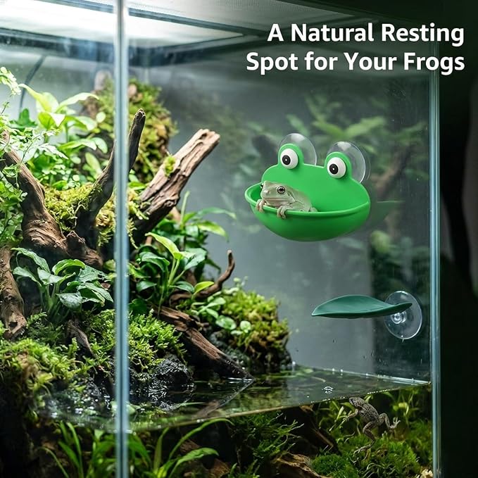 6-Piece African Dwarf Frog Tank Accessories, Reptile Basking Platform Set for Tree Frog Terrarium Decorations and Betta Leaf Resting Spots