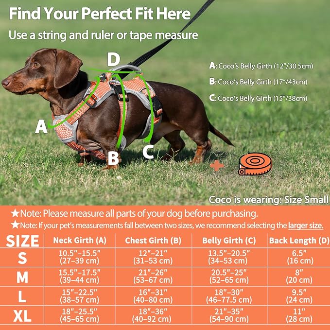 Escape Proof Dog Harness, Dachshund Harness, Reflective Dog Harness with Handle, Durable,Adjustable Vest for Small Medium Large Dogs Walking, Training, and Running Gear (Orange,XL)