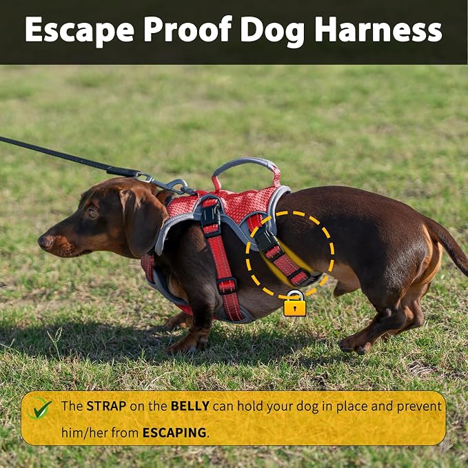 Escape Proof Dog Harness, Dachshund Harness, Reflective Dog Harness with Handle, Durable,Adjustable Vest for Small Medium Large Dogs Walking, Training, and Running Gear (Red,L)