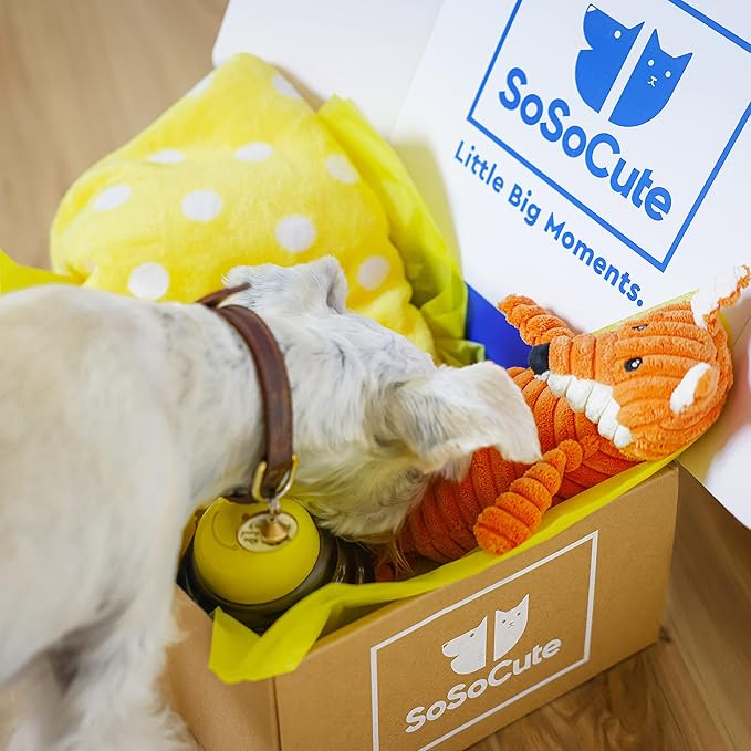 SoSoCute Yellow Dog Gift Box - Puppy Chew Toy Set of 5 - Care Package with Dog Blanket, Squeaky Plush, Rubber Puppy Teether, Teething Ball, and Treat Ball for Small and Medium Dogs