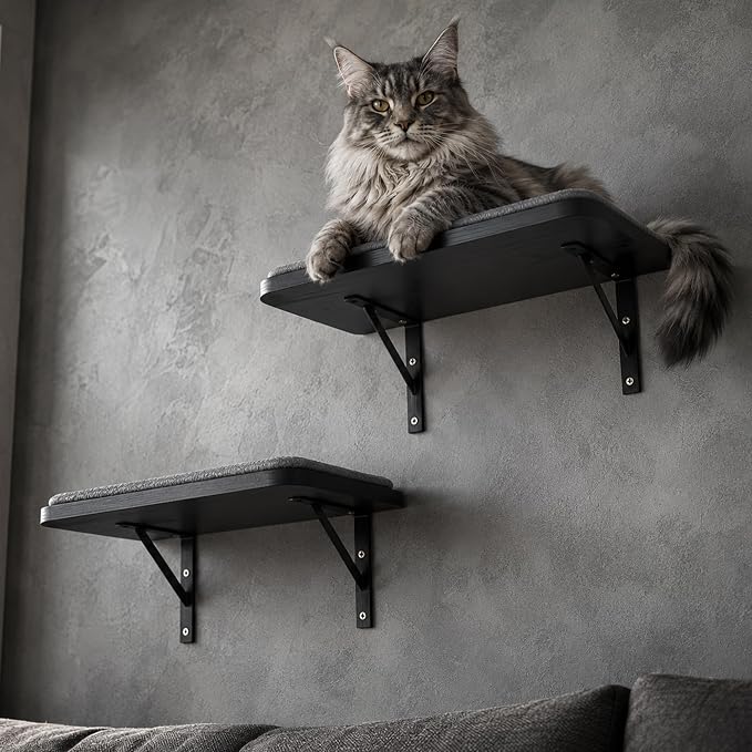 Cat Wall Shelves Set of 2, Black Solid Wood Cat Window Perch with Grey Sisal Cushion, Wall-Mounted Space-Saving Climbing Bed, Lounging Shelf for Kittens & Cats, Black Furniture for Indoor