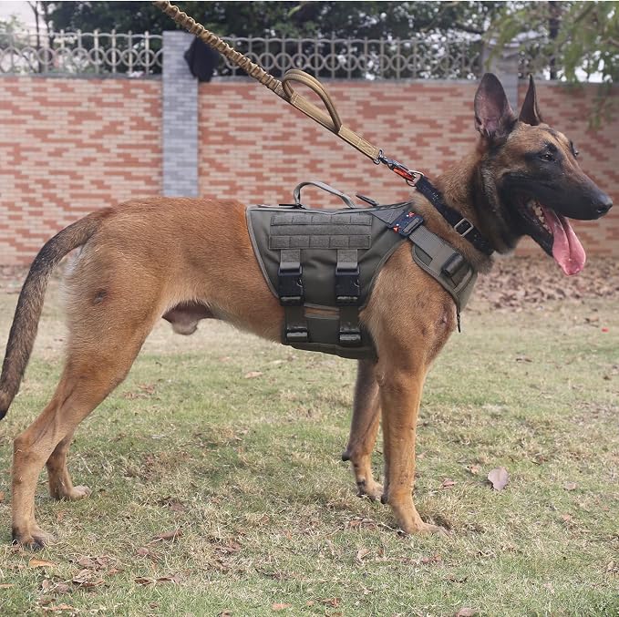 ICEFANG No Pull Tactical Dog Harness for X-Large Dogs,Adjustable Dog Vest | Control Handle,MOLLE Panel,Front Hook,3 Leash Clips,Soft Padded,for walking training,Green,X-Large