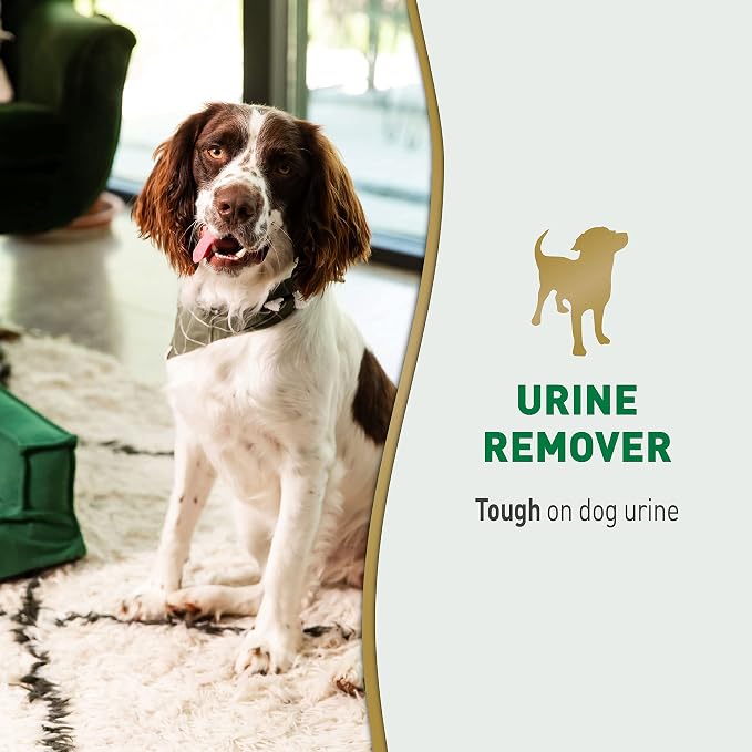 Nature's Miracle Dog Urine Remover, 128 Oz, Enzymatic Formula, Multicolor, 128.00 Fl Oz (Pack of 1)