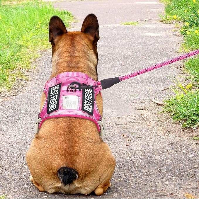 Beebiepet Heavy Duty Tactical Dog Harness for Small Dogs, No Pull Adjustable Pet Harness Reflective Service Training Easy Control Pet Vest Military K9 Working Dog Harnesses- Medium, Pink Camo