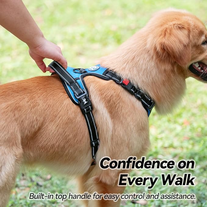 PoyPet No Pull Dog Harness Large with Front Clip & Neck Release Buckle | No Choke, Adjustable Vest, Reflective, Back Clip, Lockable, Soft Padded, Easy Control Handle for Walking Training, XL, Blue