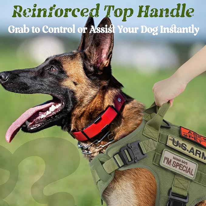 rabbitgoo Tactical Dog Harness for Medium, Heavy Duty Military No Pull Vest | Sturdy Metal Buckles, 5 Adjustments, Molle System, Powerful Pullers for Training, Hunting, Outdoor, Green, Medium