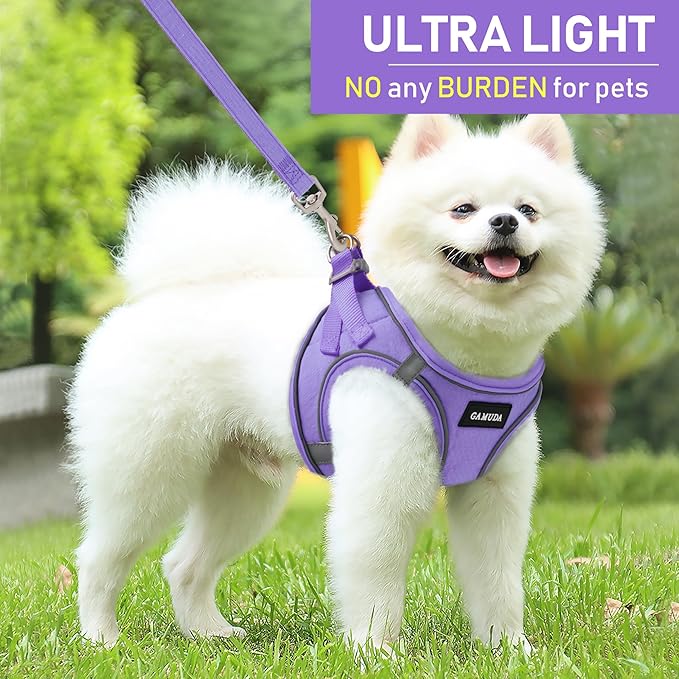 GAMUDA Small Pet Harness Collar and Leash Set, Step in No Chock No Pull Linen Fabric Soft Mesh Dog Vest Harnesses Reflective for Dogs Puppy Cats Kitten Rabbit (Purple, XXS)