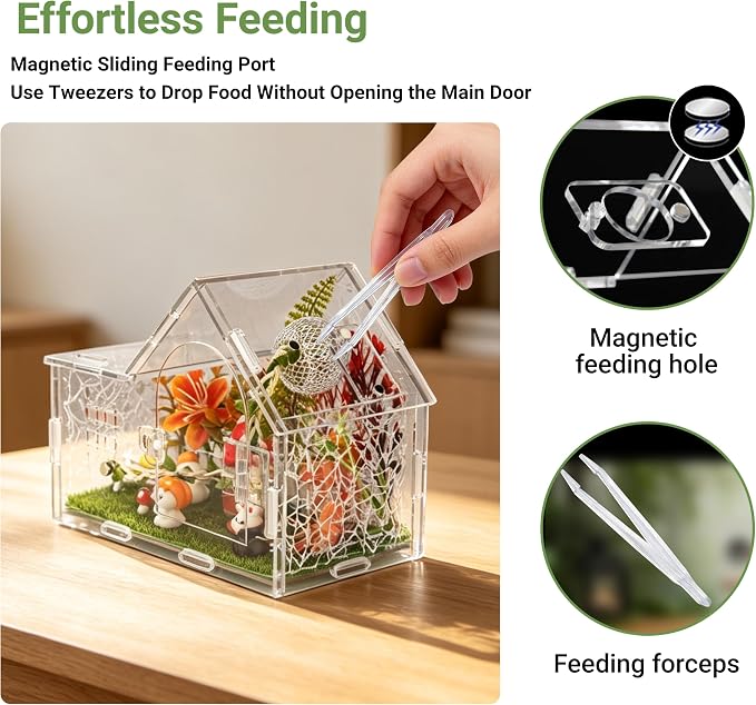 Acrylic Jumping Spider Enclosure Kit 25PCS with Decor | 25-in-1 woodland theme set with mushroom decor, white hideout, plants, ideal for mantis & tarantula