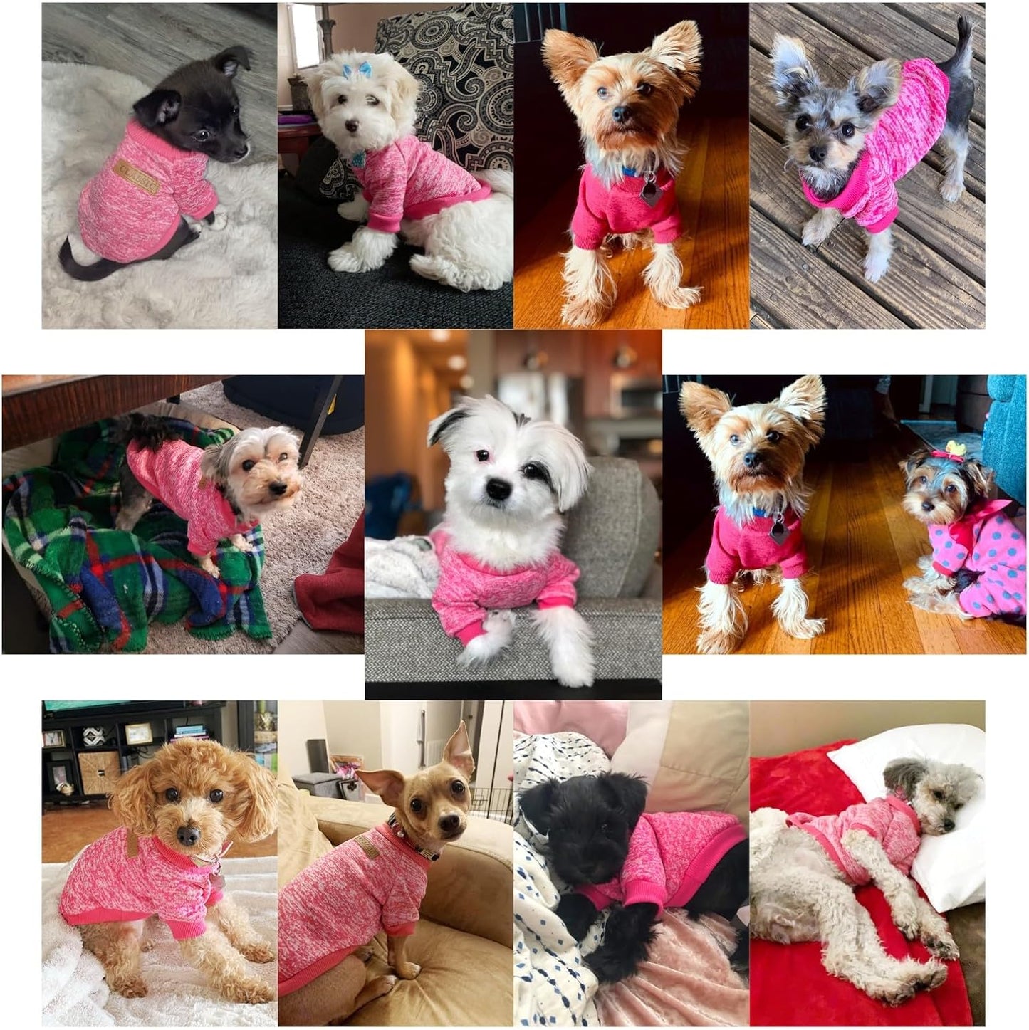 Jecikelon Dog Clothes Dogs Sweater Soft Puppies Clothing Winter Puppy Sweaters Warm Outfit for Dogs Small XXS XS Cat Apparel (Rose red, S)