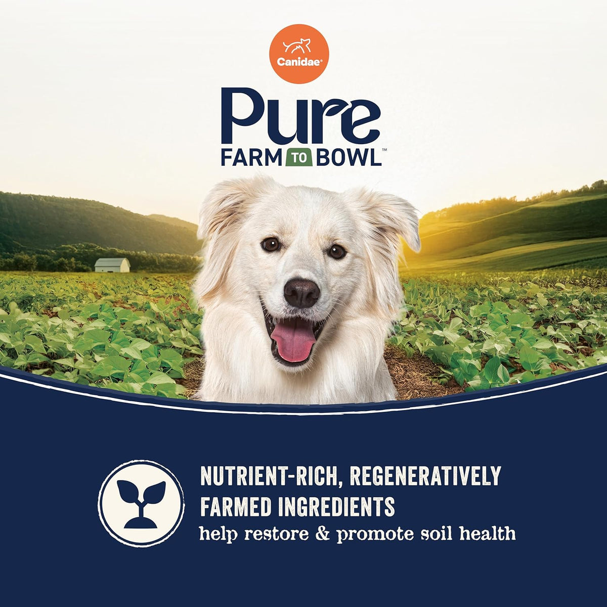Canidae Pure Farm to Bowl Pasture-Raised Lamb with Goat & Venison Meals, Adult, Grain-Free Dry Dog Food, 22lb
