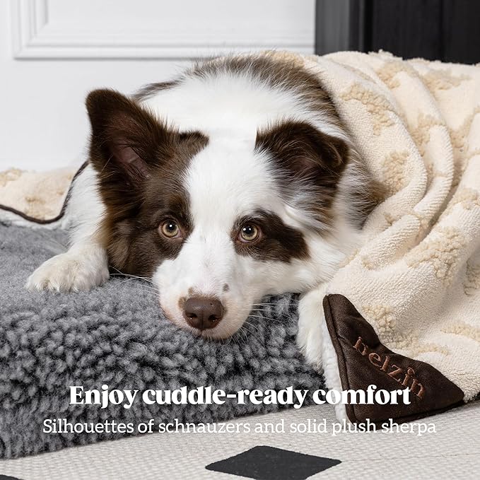 Embossed Sherpa Dog Blankets for Small Dogs - Waterproof Cat Blankets for Indoor Cats - Heavy Duty Couch Cover Protector - Soft Reversible Throw Furniture Protection - Small, Cream